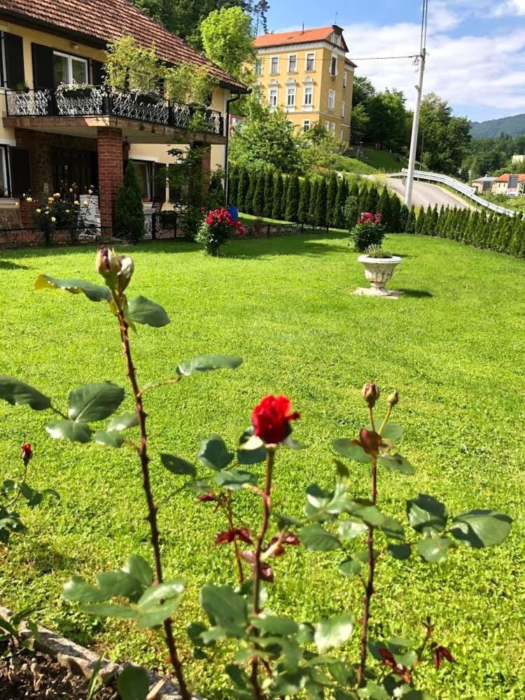 Apartma center Apartment in Slovenia