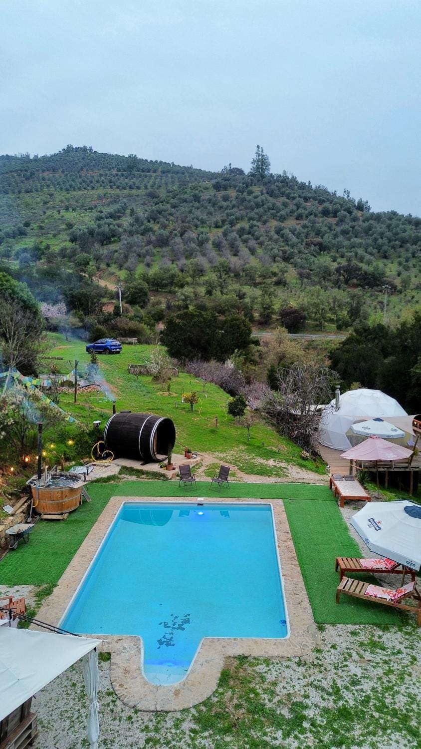Garden, Sauna, Swimming pool, Swimming pool