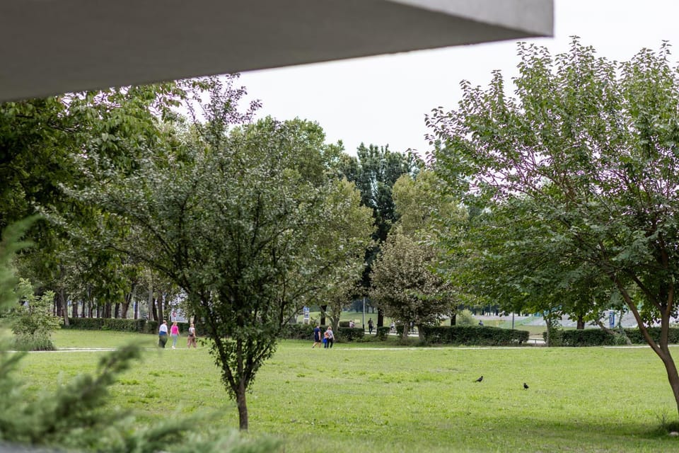 View (from property/room)