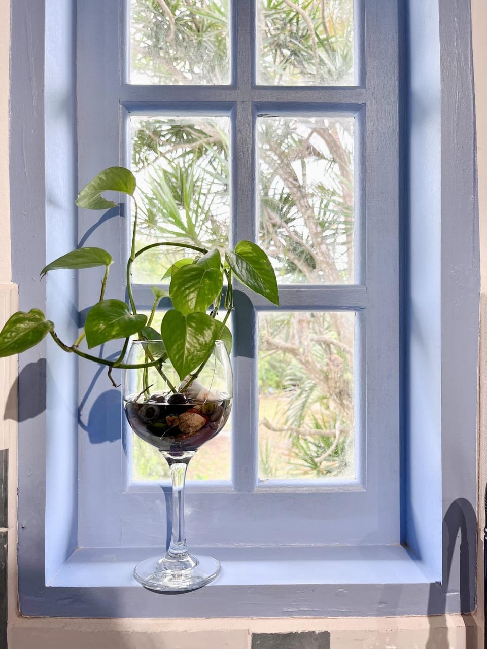 Garden view
