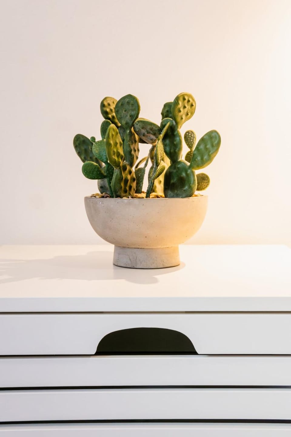 Ourique Charm Studio - Near the Market & Metro Apartment in Lisbon