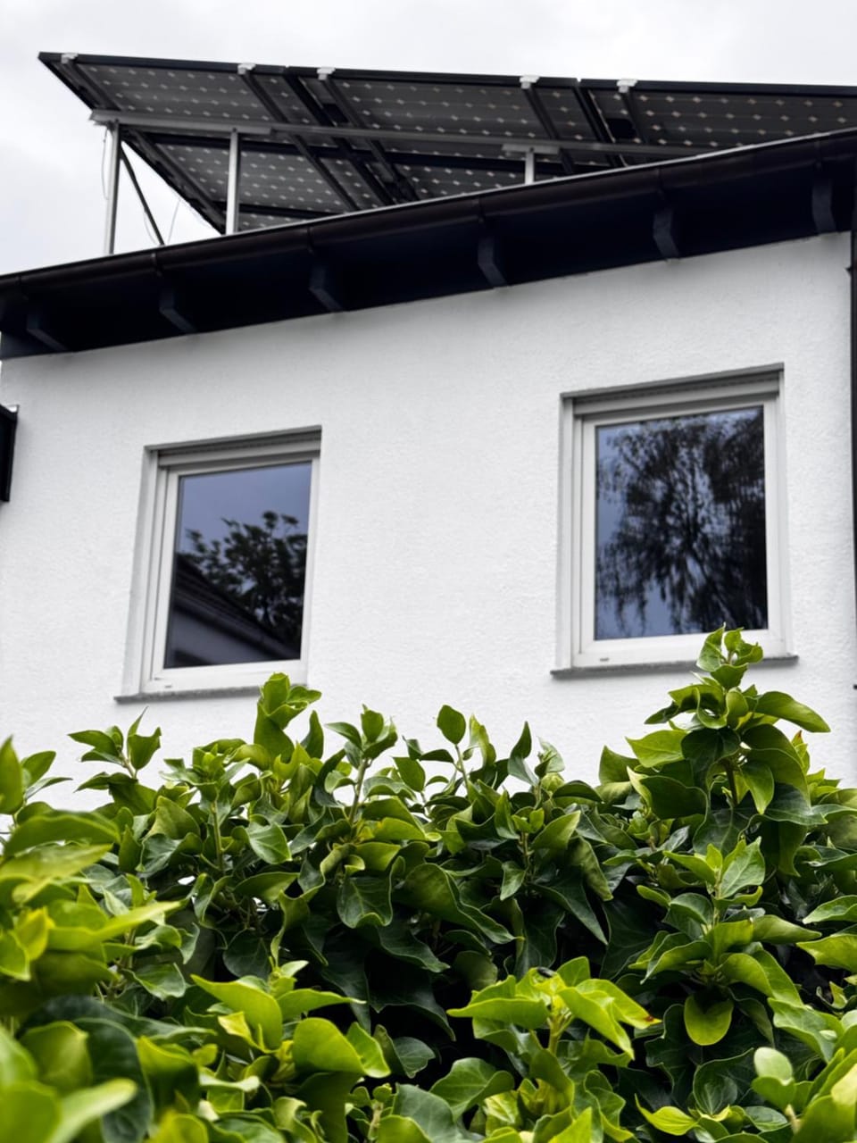 Property building, Day
