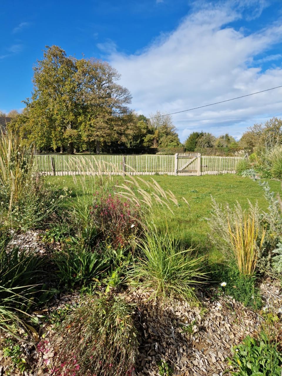 Natural landscape, Garden, Garden view