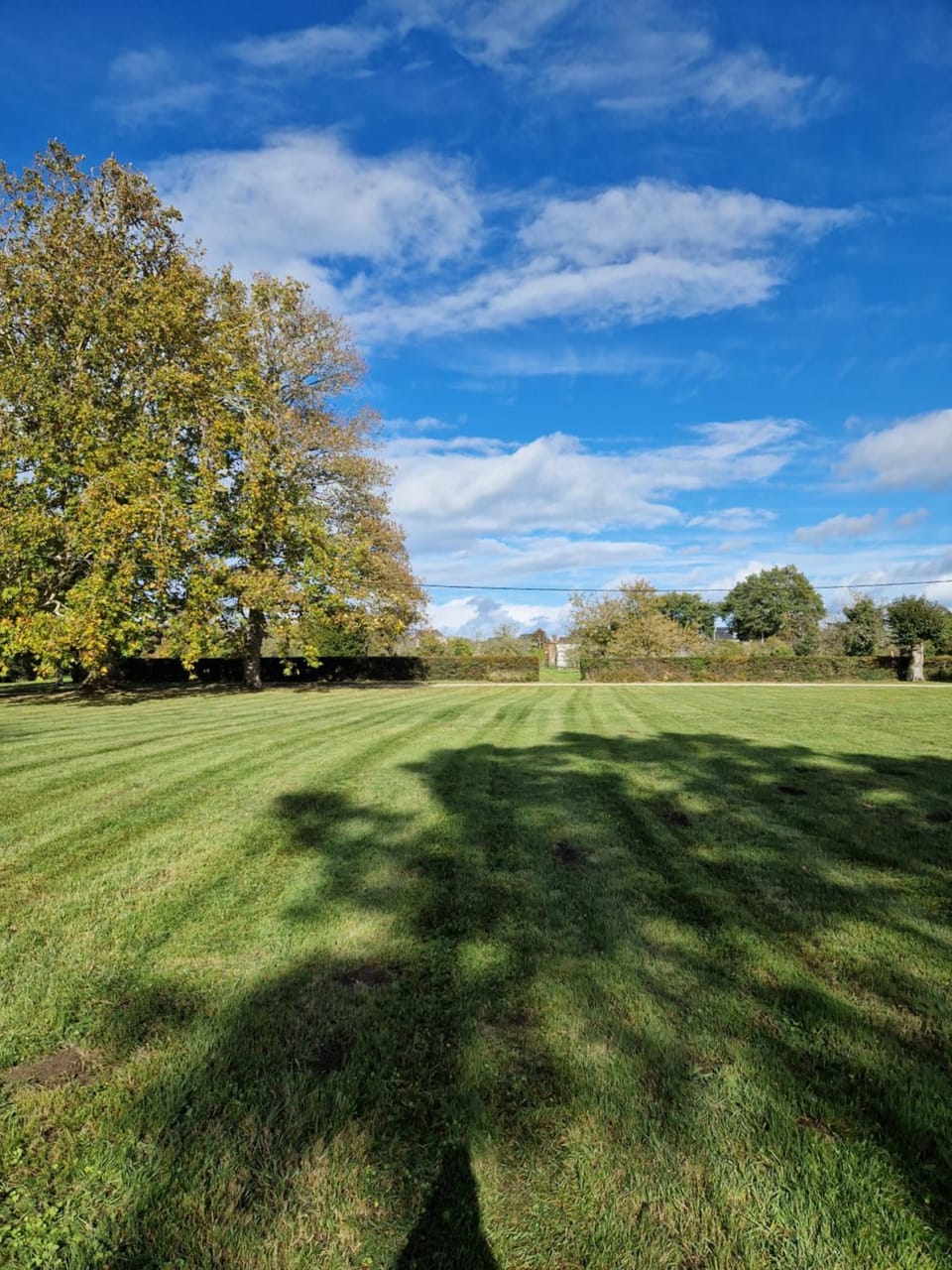 Natural landscape, Garden view
