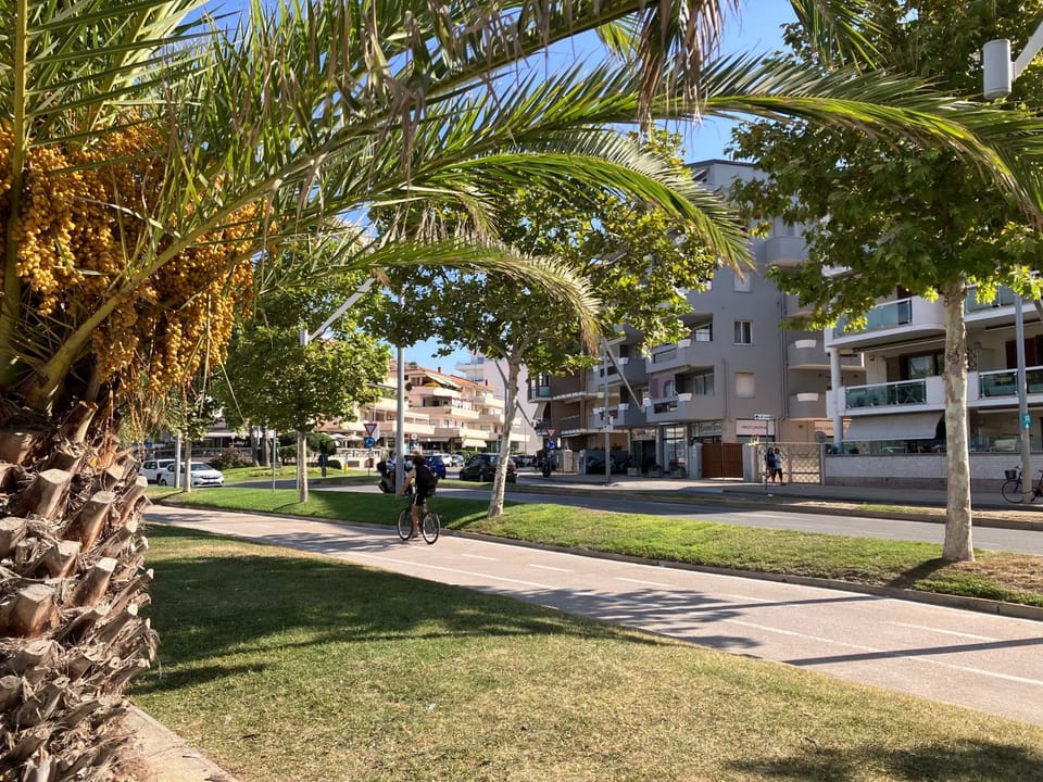 Neighbourhood