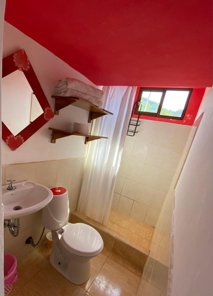 Shower, Bathroom
