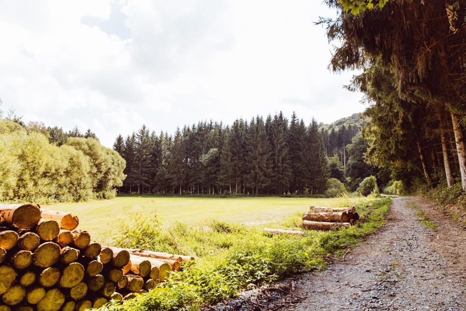Leaf op het terrein accommodatie Woltzdal Campground/ 
RV Resort in Luxembourg