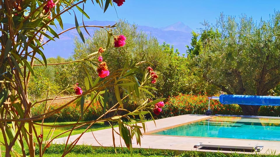 Garden view, Pool view