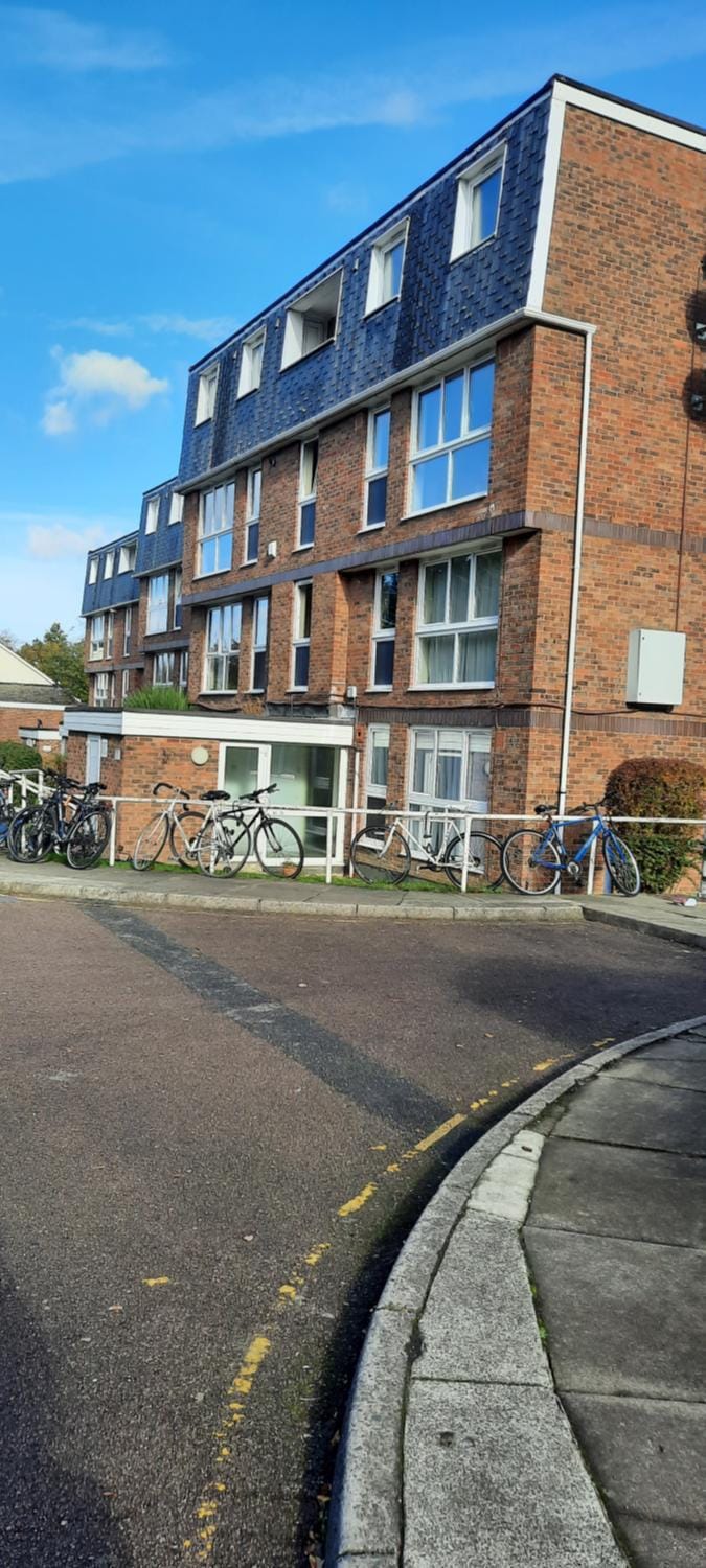 Palace flat Apartment in London Borough of Southwark