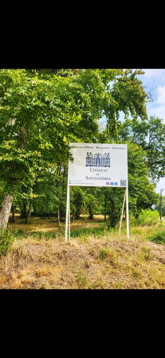 Château de Savonnières Bed and Breakfast in Pays de la Loire