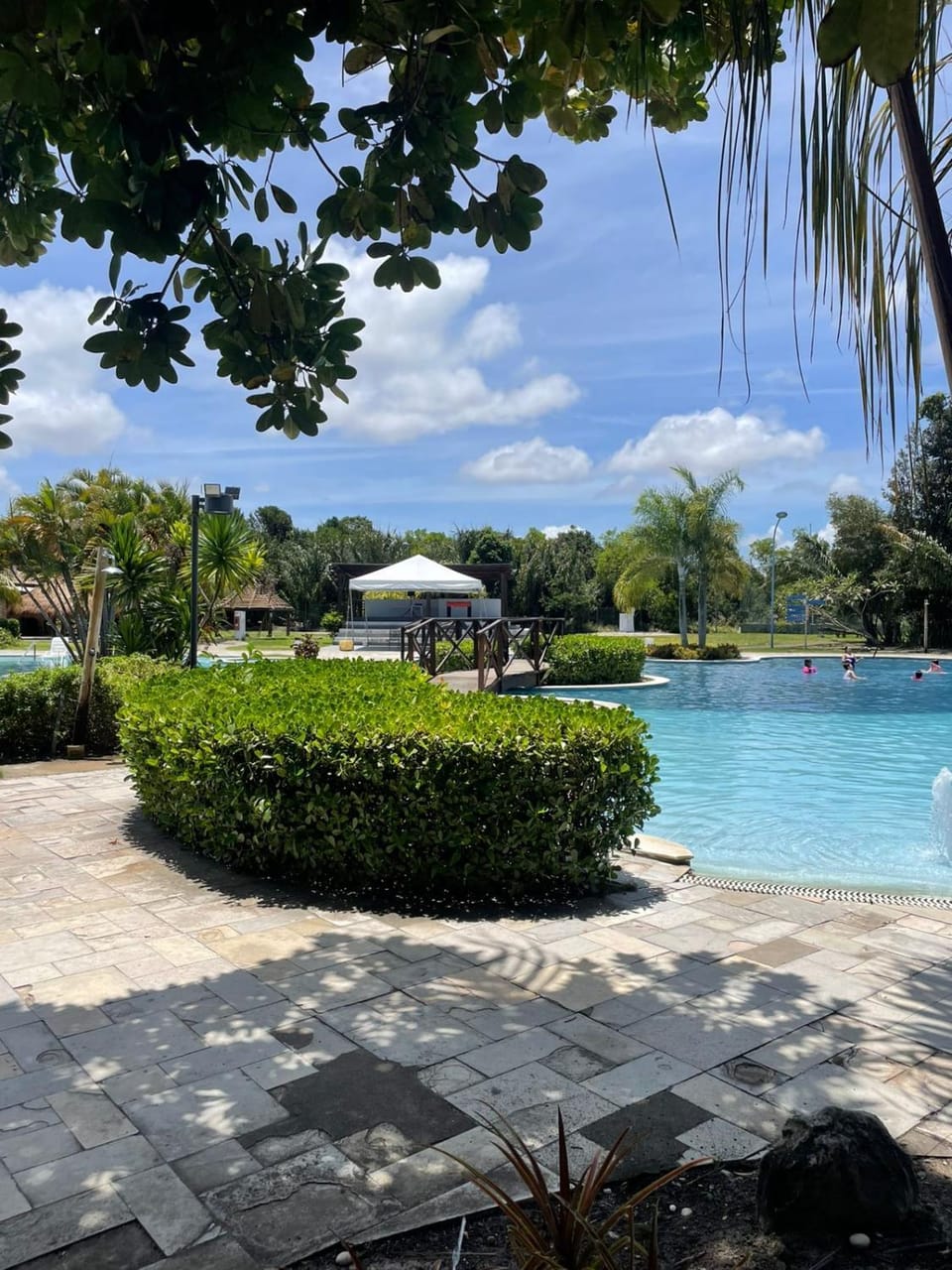 Spring, Garden view, Swimming pool
