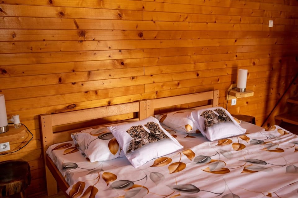 etno brvnara sa bazenom Chalet in Vojvodina