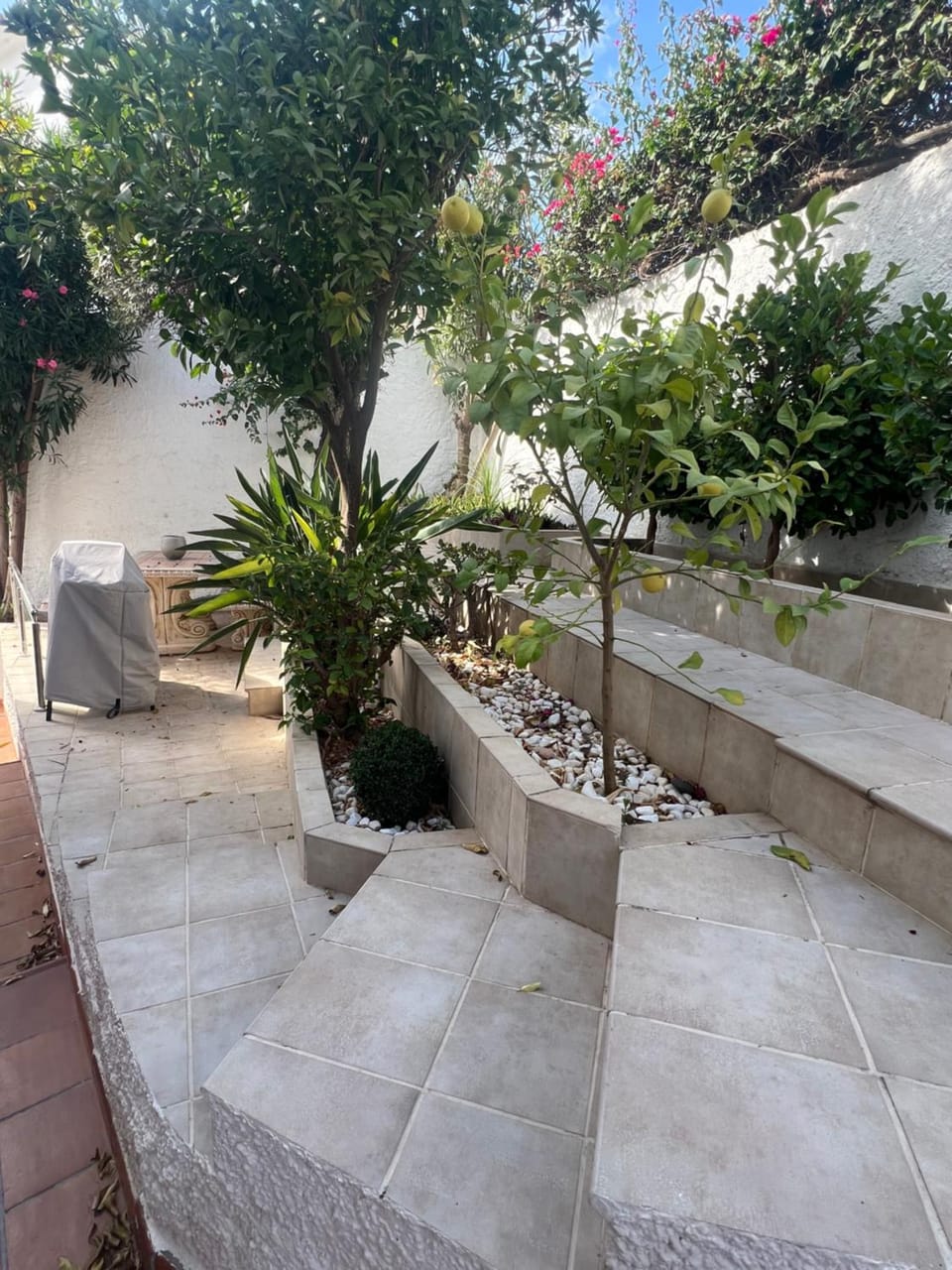 Garden, Garden view