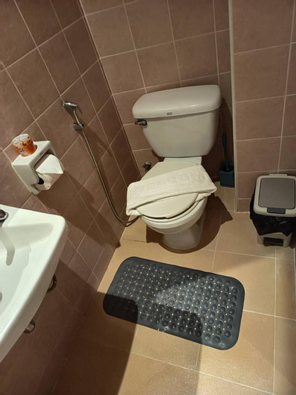 Toilet, Bathroom
