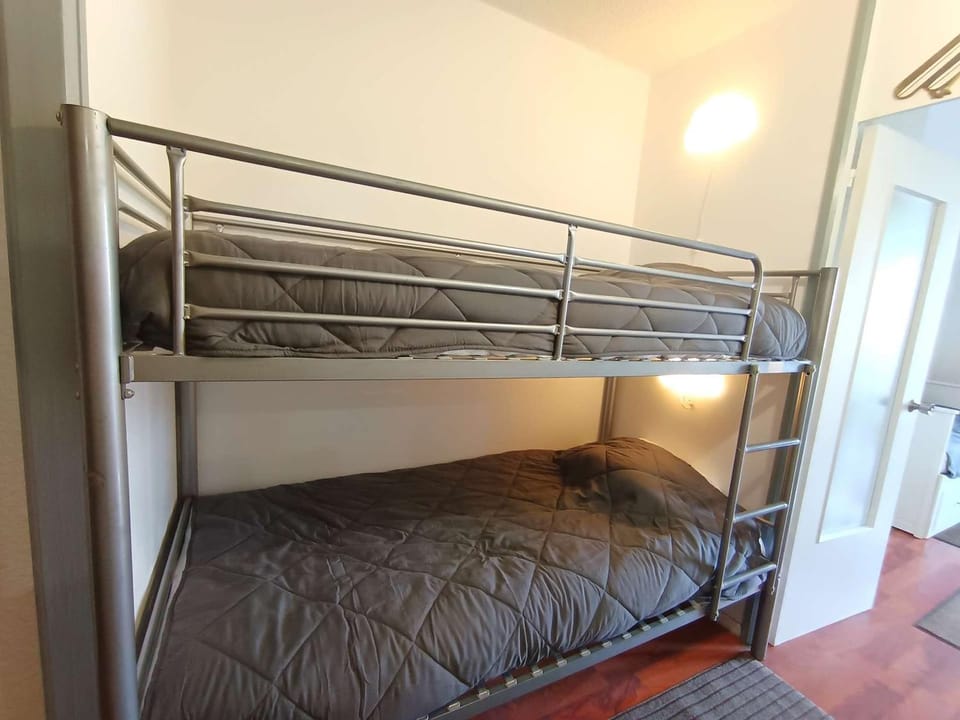 Studio confortable 4 personnes à Pla d'Adet - FR-1-457-392 Apartment in Saint-Lary-Soulan