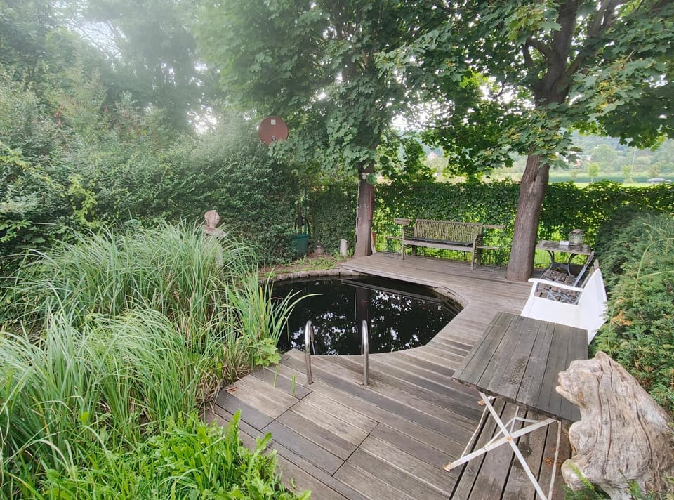 Spring, Day, Natural landscape, Garden, Garden view, Pool view, Swimming pool, Swimming pool