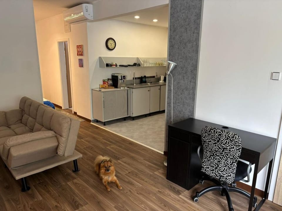 Coffee/tea facilities, Kitchen or kitchenette, Living room, Pets, oven, pet friendly, stove