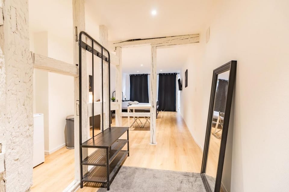 Hyper Centre Studio Strasbourg Cathedral Apartment in Strasbourg