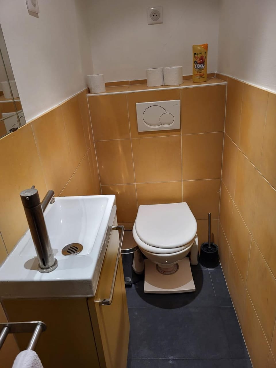Toilet, Bathroom