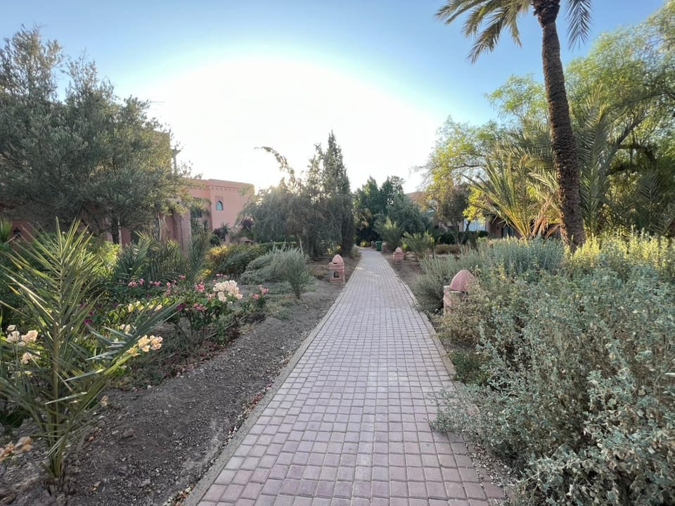 Spring, Natural landscape, Garden, Garden view