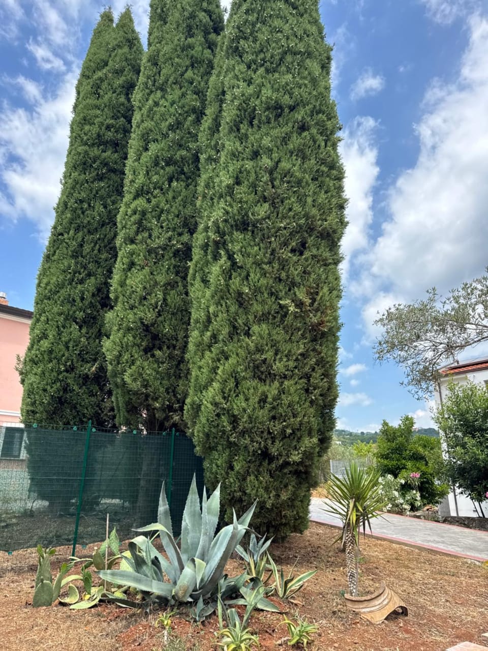 B&B Casa Lydia Bed and Breakfast in Lamezia Terme
