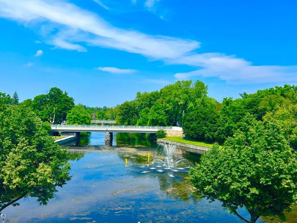 Natural landscape, River view