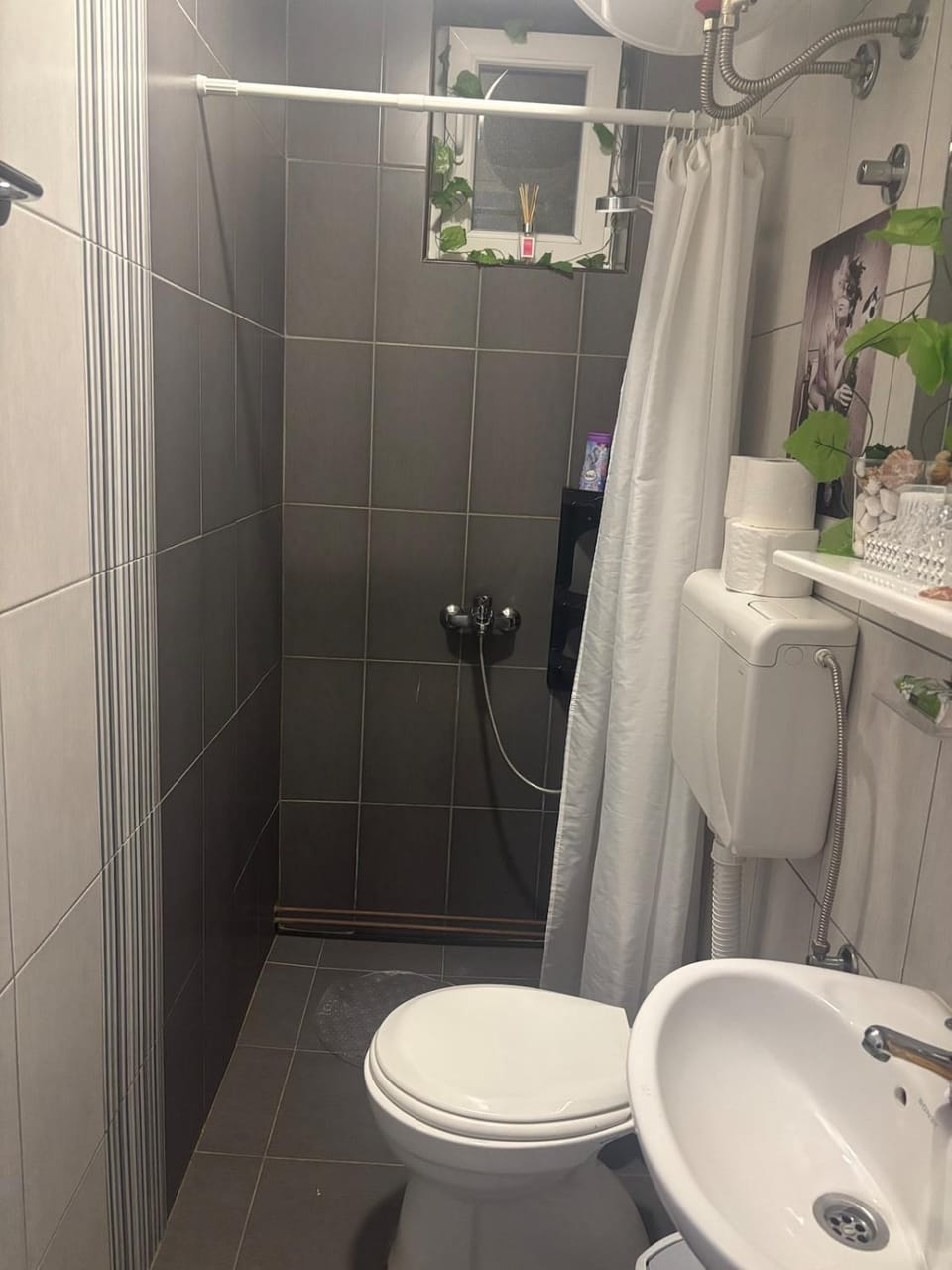 Bohemian Rhapsody low ground studio Apartment in Belgrade