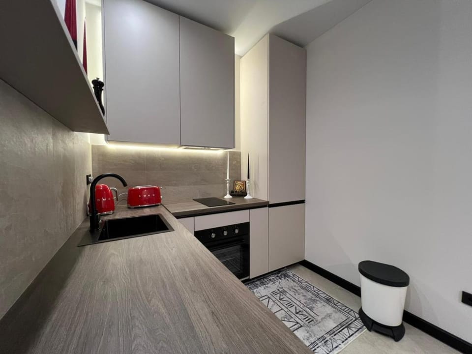 Kitchen or kitchenette, dishwasher, pet friendly, stove