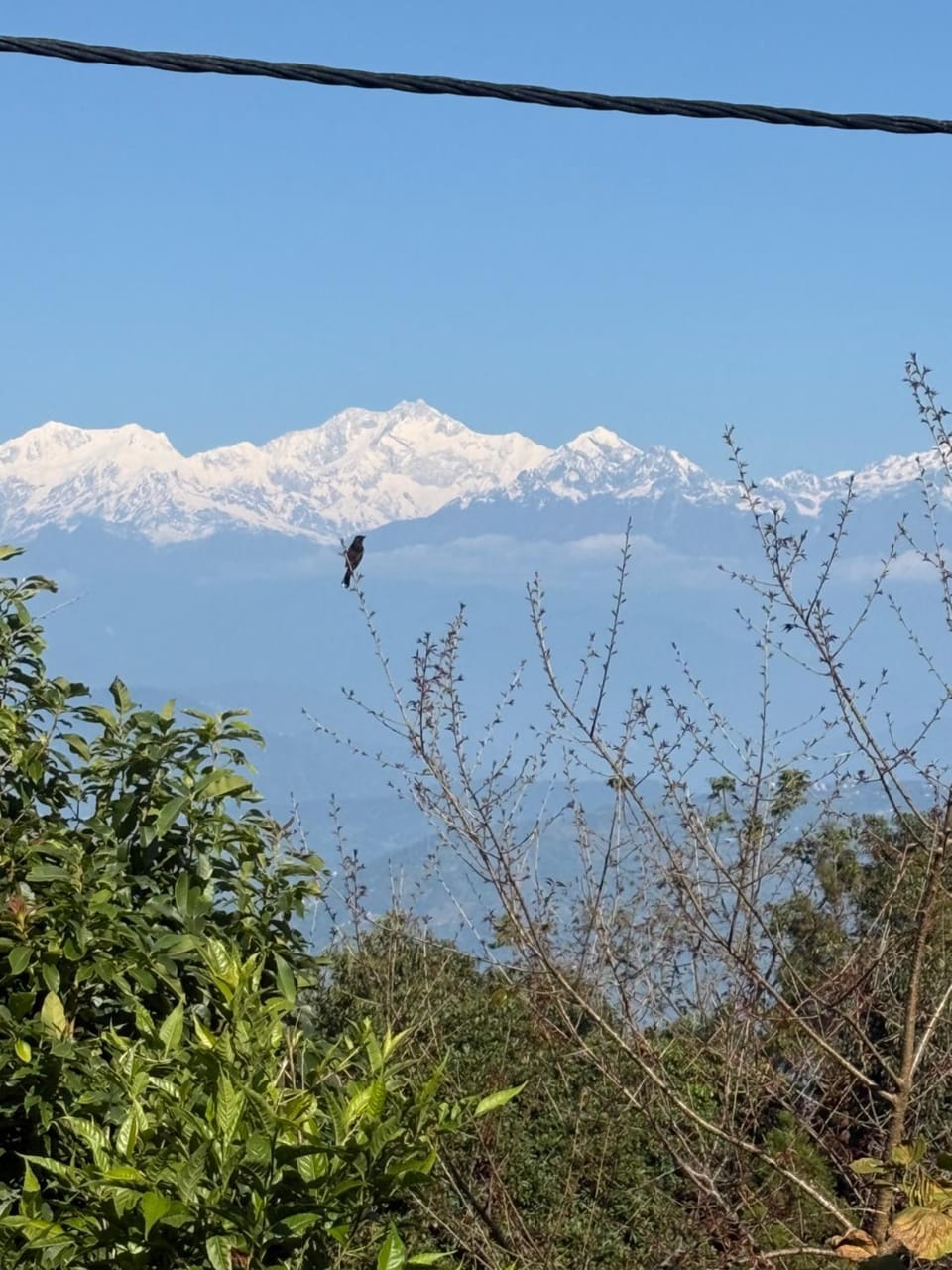 Mountain view