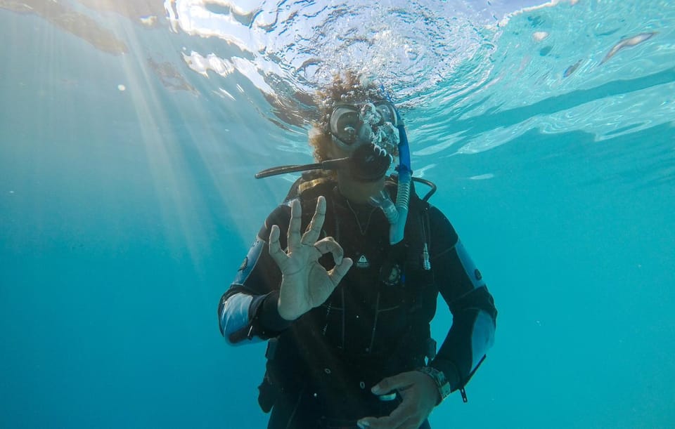 People, Activities, Diving, Diving