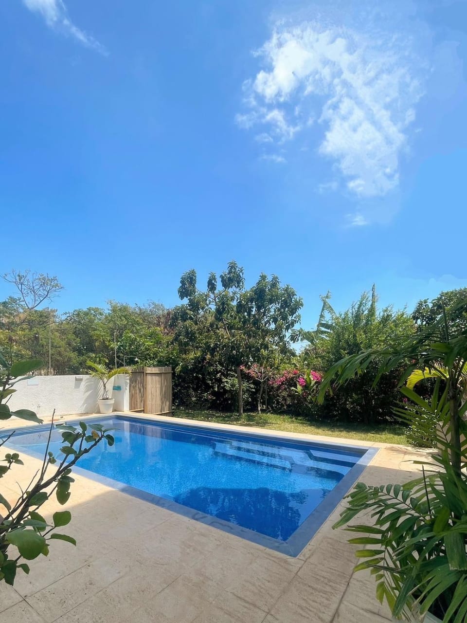 Day, Pool view, Swimming pool, sunbed