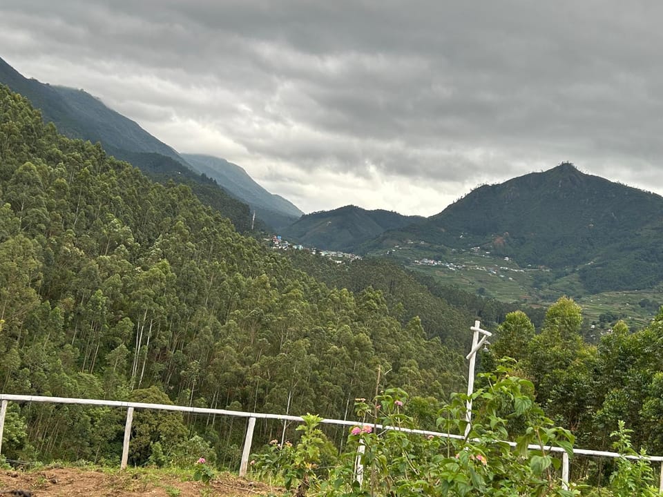 Mountain view