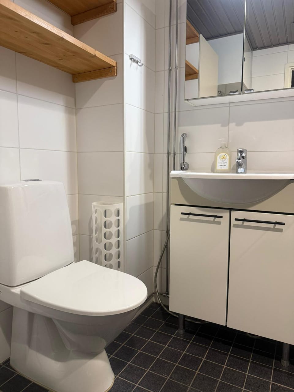 Toilet, Bathroom