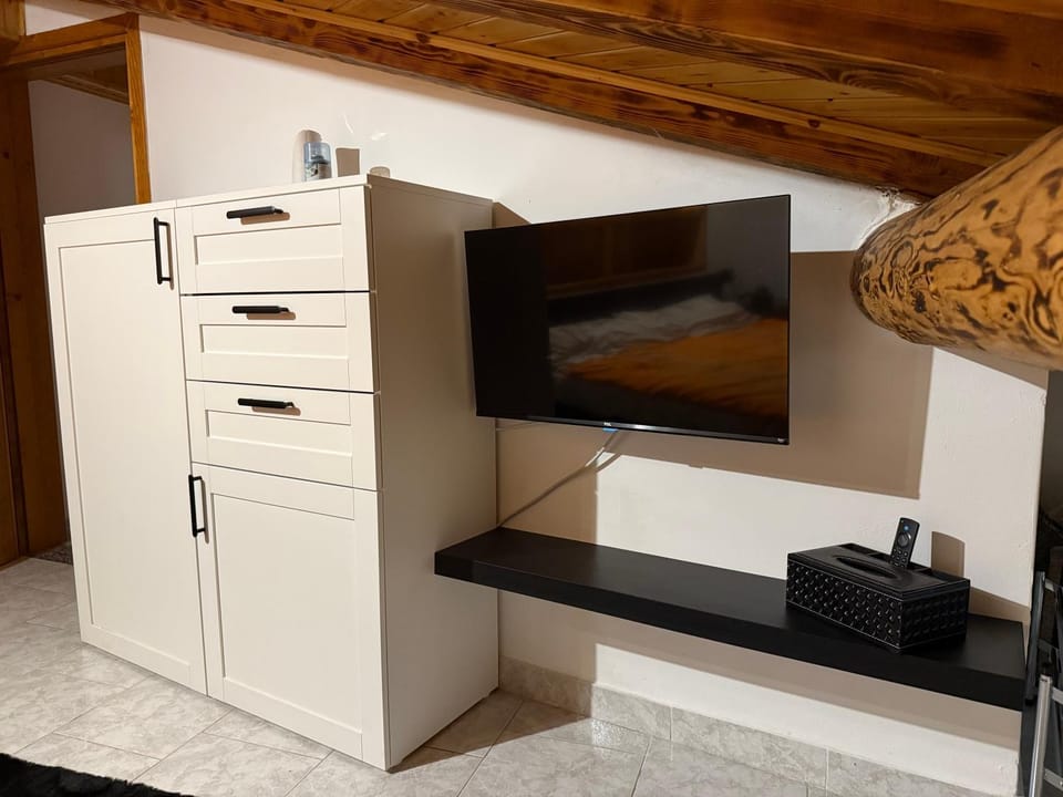 TV and multimedia