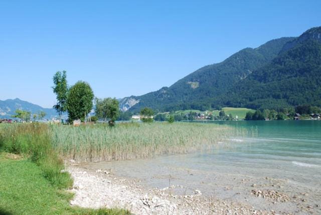 River view