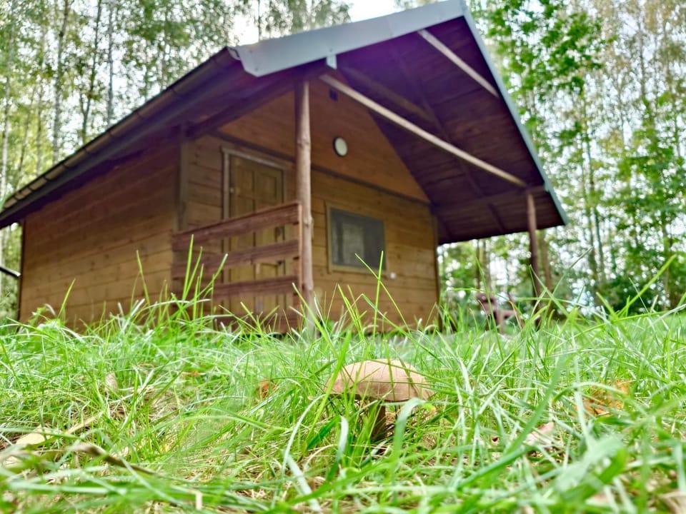 Chata Chochlika House in Poland