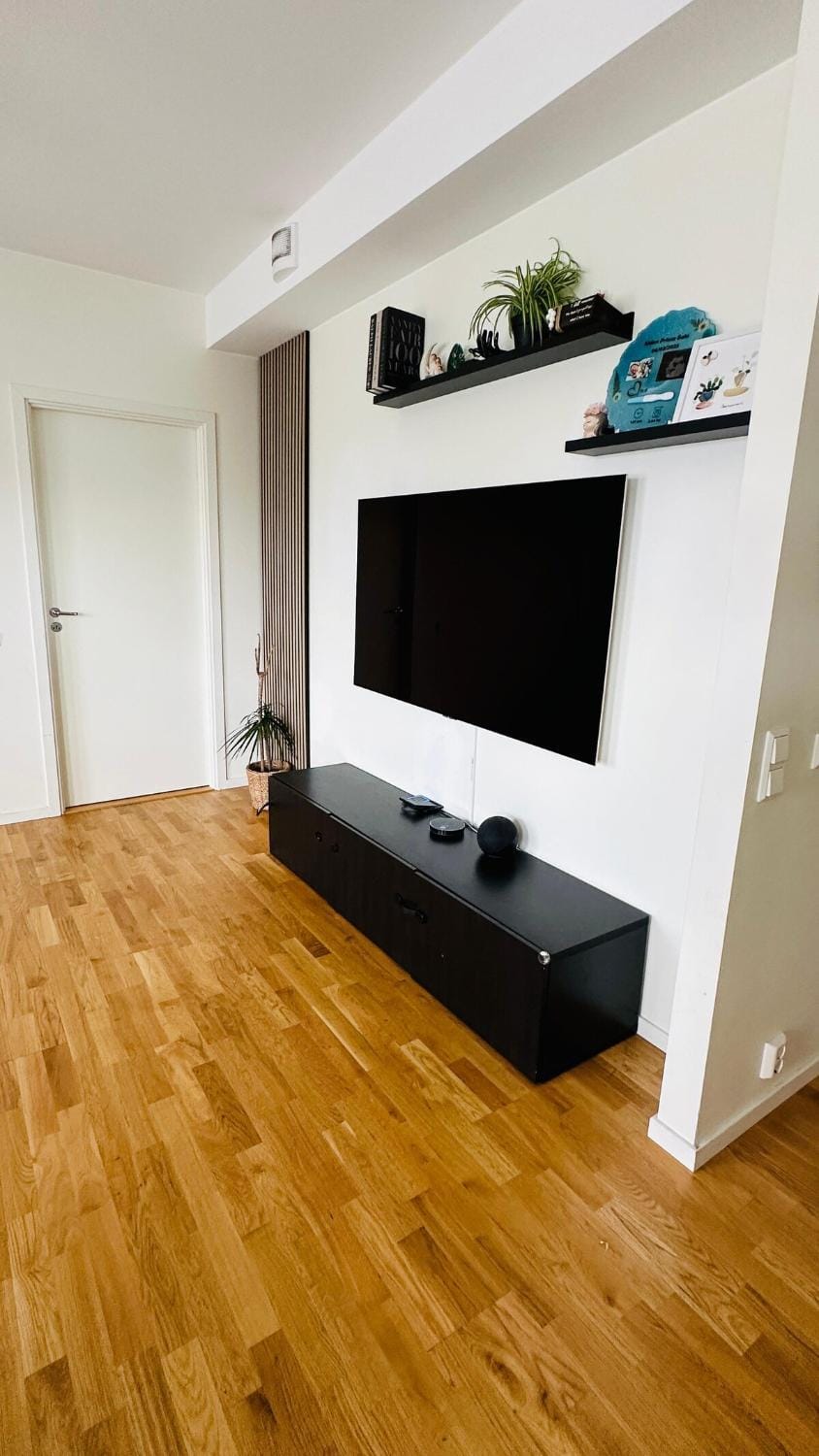 TV and multimedia