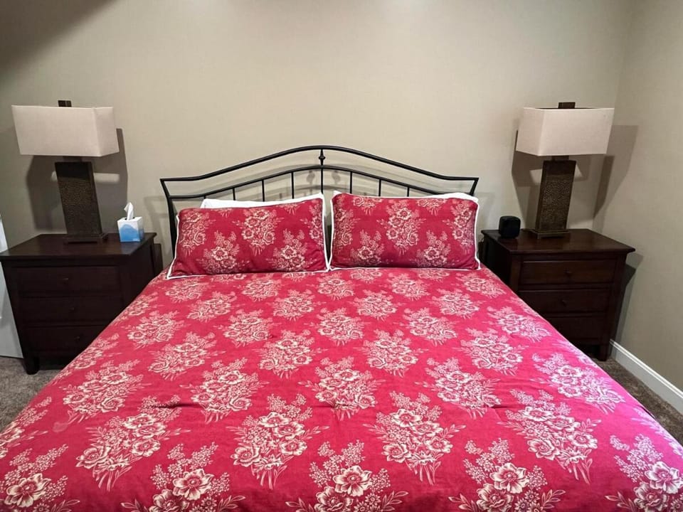 4 BR oasis with hot tube House in Iowa