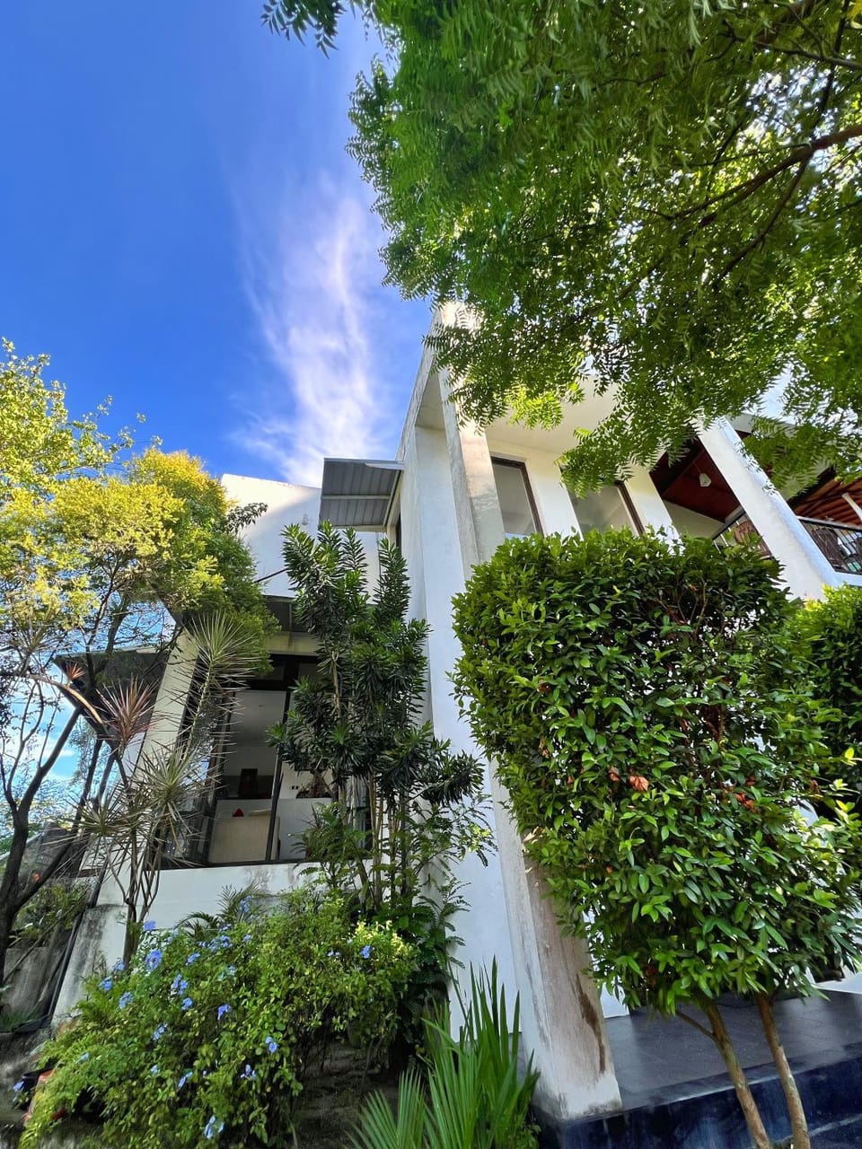 Property building, Garden