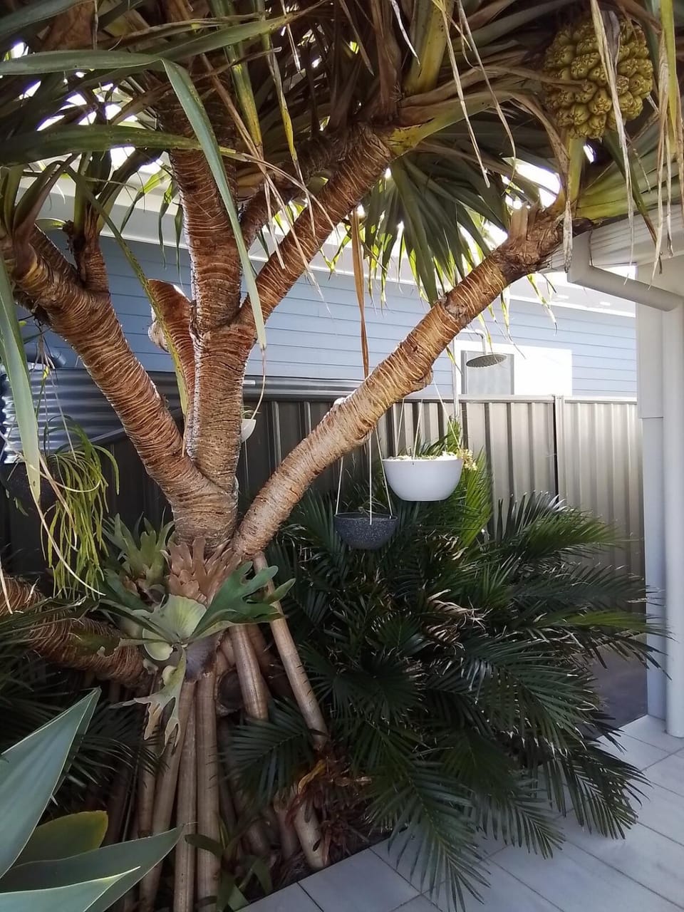 Studio 21 Waterfront Apartment in Yamba