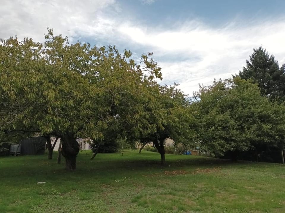 Maison Châtillon sur Loire - Peace and quiet Apartment in Centre-Val de Loire