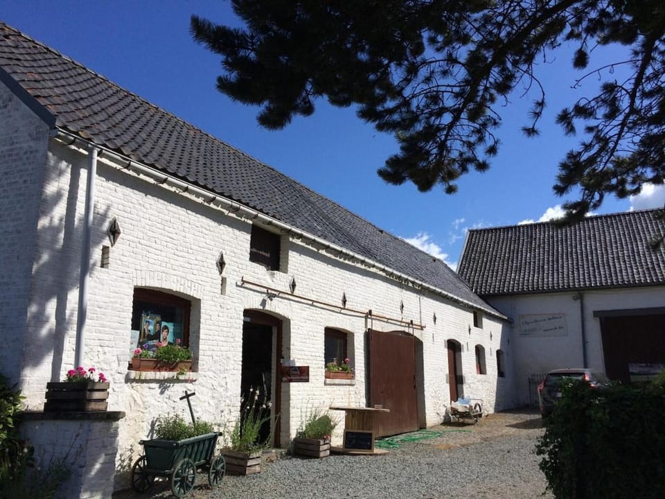 Gîte de La Blanche Ferme près de Pairi Daiza House in Flanders
