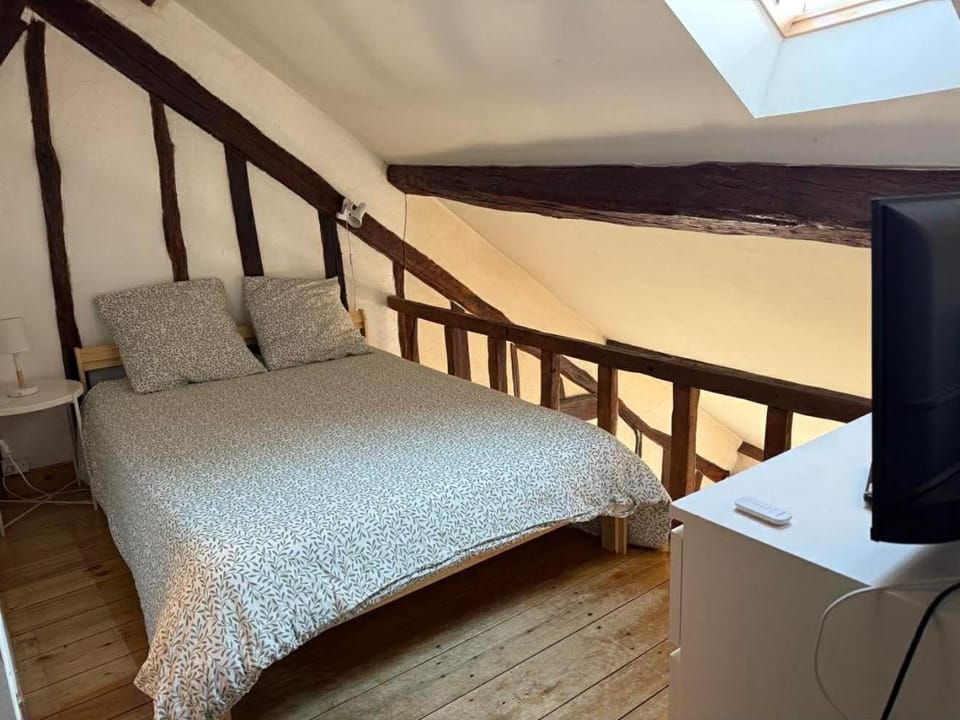 historique Apartment in Bourgogne-Franche-Comté