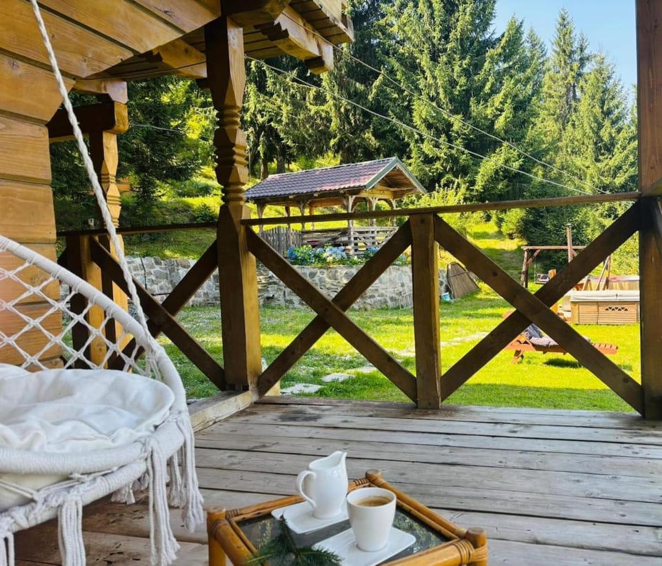 Cabana Kraus Villa in Romania