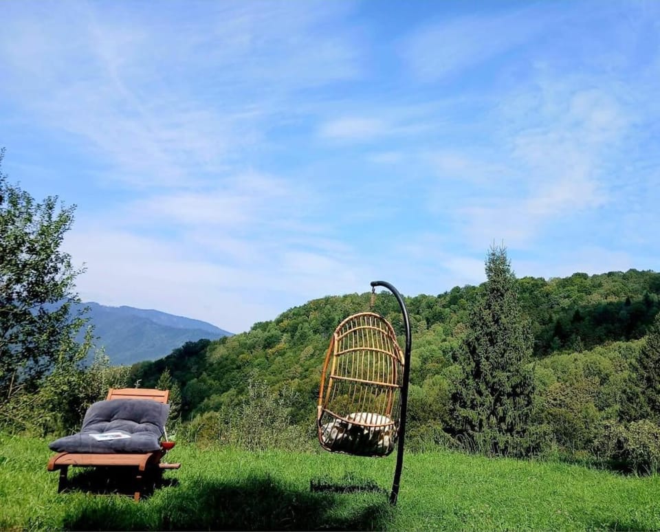 Cabana Kraus Villa in Romania