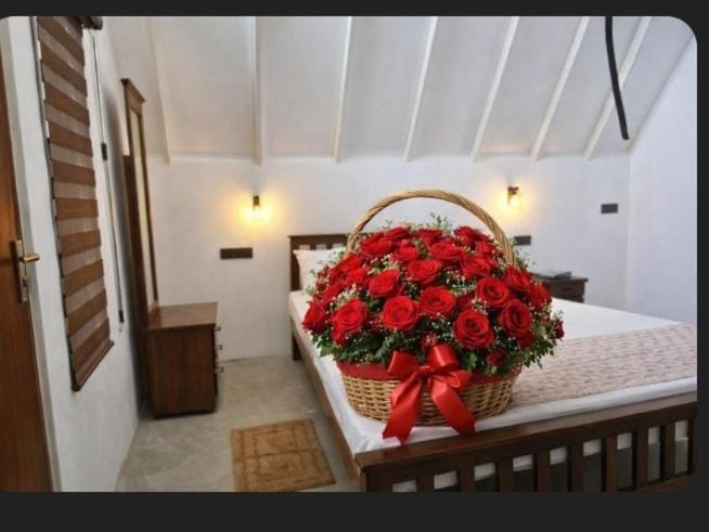 Pearl Crown Paradise room to rent Negombo Vacation rental in Negombo