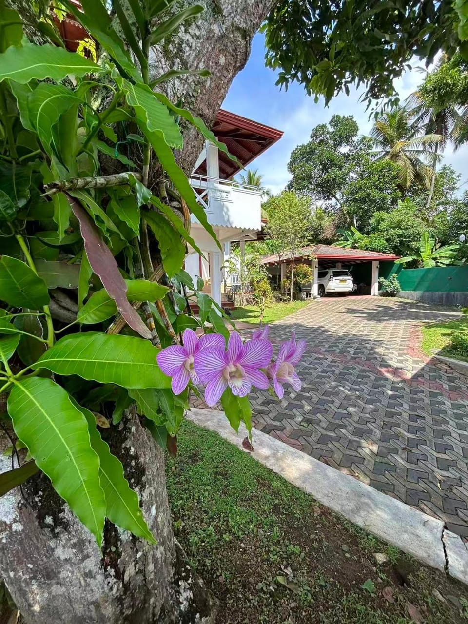 Kashmir villa Villa in Galle