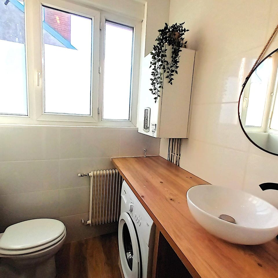 Toilet, Bathroom, washing machine