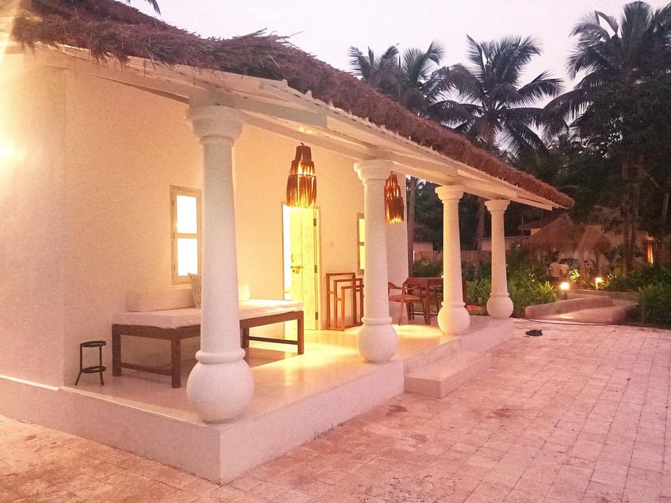 Night, Garden, Garden view