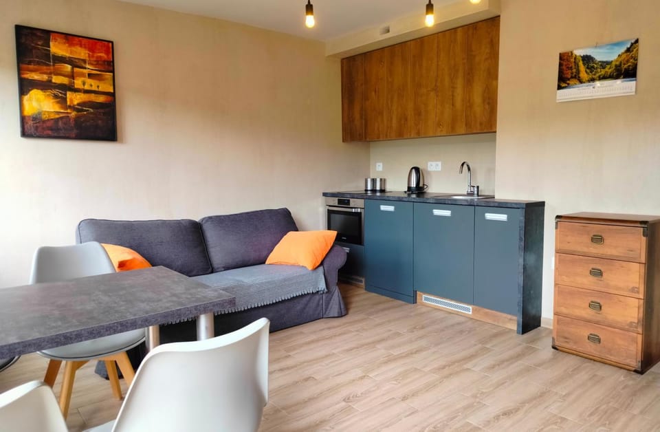 Coffee/tea facilities, Kitchen or kitchenette, Living room, Seating area, Dining area, stove